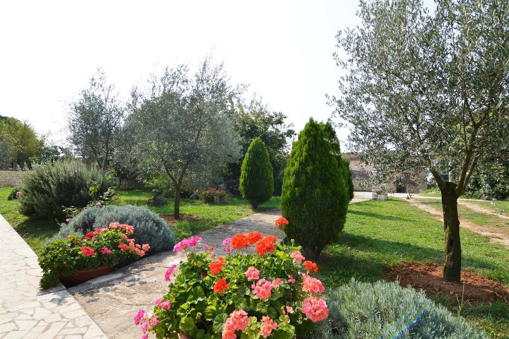 Garden Apartment Maria Vrsar Zewnętrze zdjęcie
